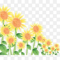手绘黄色可爱向日葵