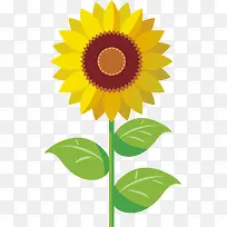 向日葵太阳花卡通手绘花黄色