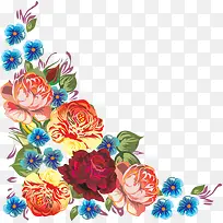 手绘菊花