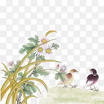 花鸟图