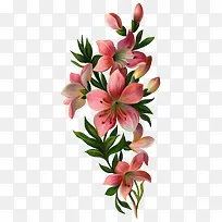 百合花