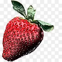 油画红色草莓