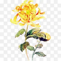 高清手绘油画花卉植物