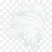 白色羽毛
