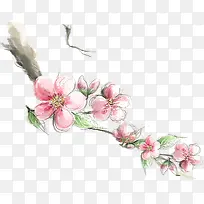 手绘粉色桃花树枝装饰