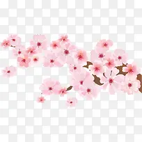 粉色桃花