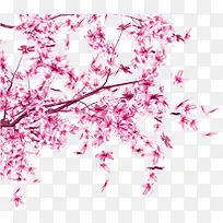 手绘粉色桃花花枝