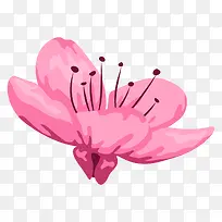 粉色的桃花