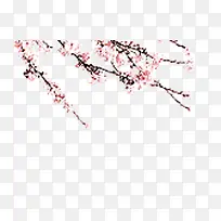 桃花花枝素材