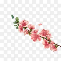 手绘桃花枝