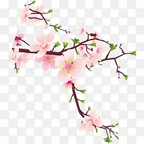 手绘清新粉色桃花树枝装饰
