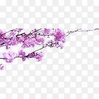 春季粉色桃花树枝