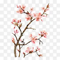 水彩桃花