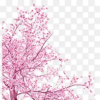 手绘粉色桃花树