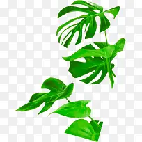 绿色叶子植物秋天海报效果