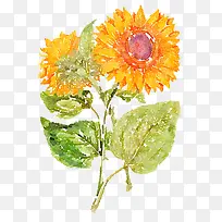 手绘的太阳花