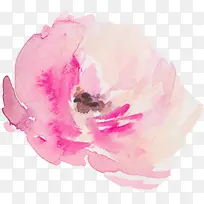 水彩花朵