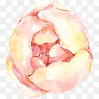 粉色水彩花朵
