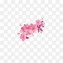 粉色花免抠图