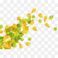 创意树叶素材