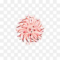 花朵