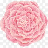 花朵