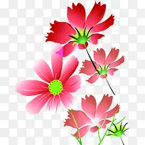 粉色温馨卡通花朵植物