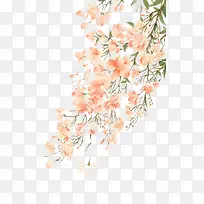 粉色花朵