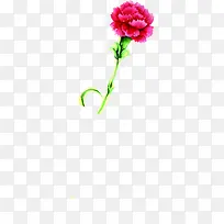 粉色手绘花朵植物设计母亲节