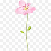粉色水墨花朵植物插画
