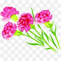 粉色水彩花朵植物母亲节
