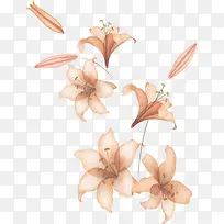 手绘粉色古风花朵纹理