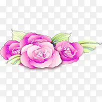 粉色水彩卡通花朵植物