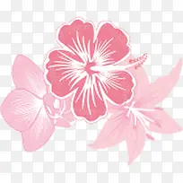 粉色梦幻花朵植物手绘