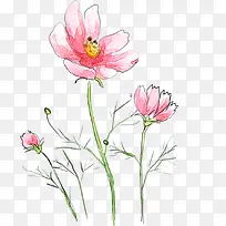 手绘粉色水墨花朵植物