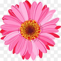 粉色彩绘可爱花朵