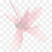 粉色手绘线条花朵设计