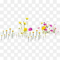 郊游黄粉色植物花朵
