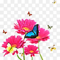粉色春季花朵飞翔蝴蝶