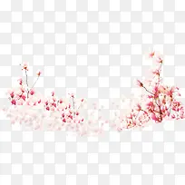 手绘粉色渐变花朵树枝装饰