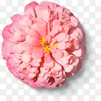 粉色分层花朵设计