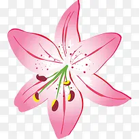 粉色温馨节日花朵植物手绘