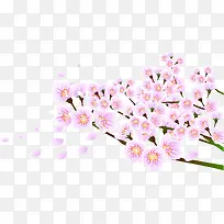 粉色精美手绘花朵春天