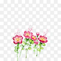 手绘粉色花朵植物春天