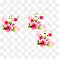 粉色水彩花朵植物装饰