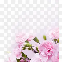 粉色淡雅甜美花朵