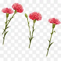 粉色温馨节日花朵母亲节