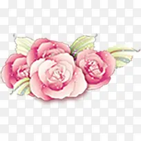 粉色水彩设计花朵植物装饰