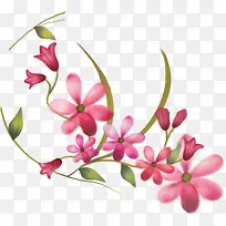 粉色手绘水彩花朵植物