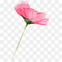 粉色温馨花朵手绘